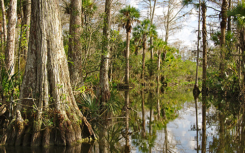Everglades National Park
